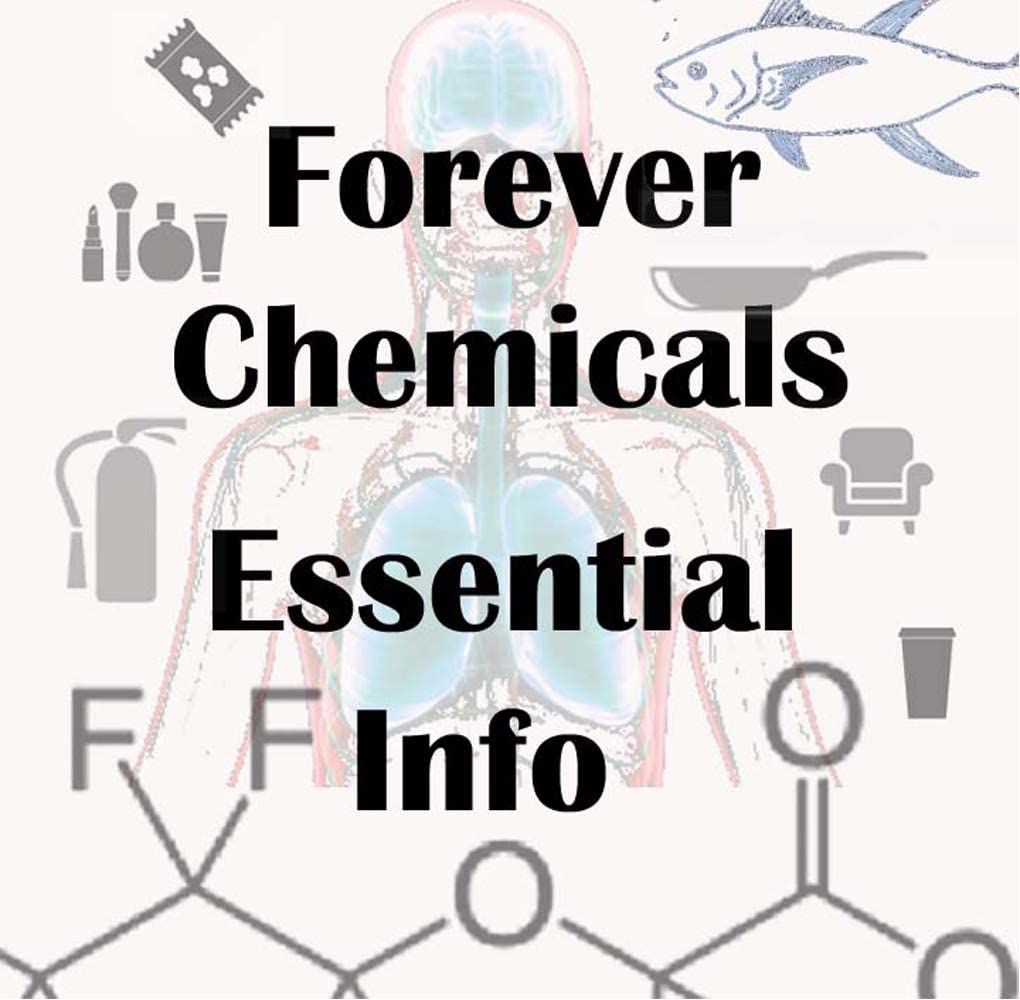 Forever Chemicals: Essential Information (Kindle Edition)
