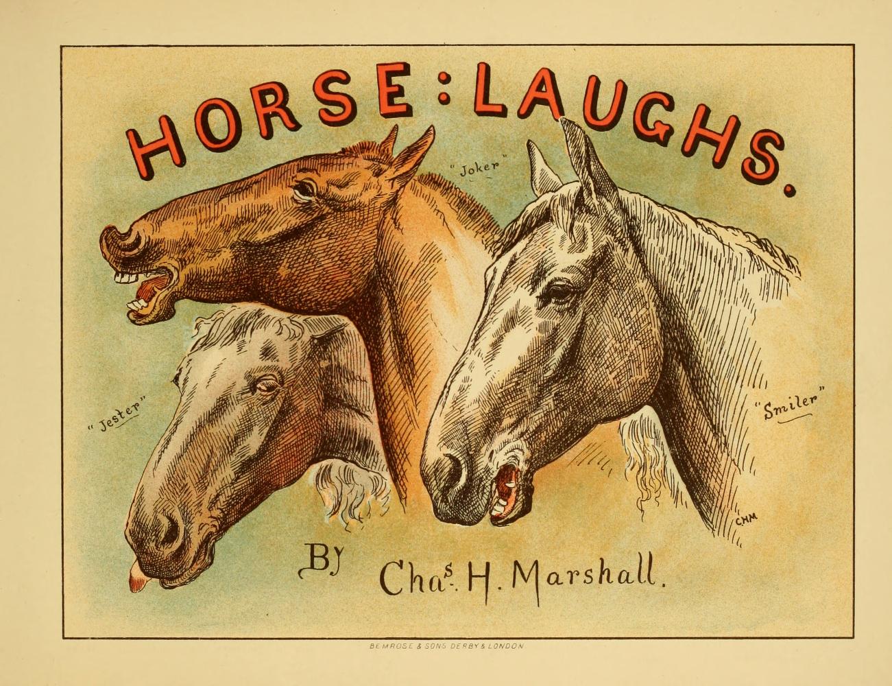 Horse laughs (Nook)