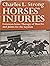 Horses' Injuries