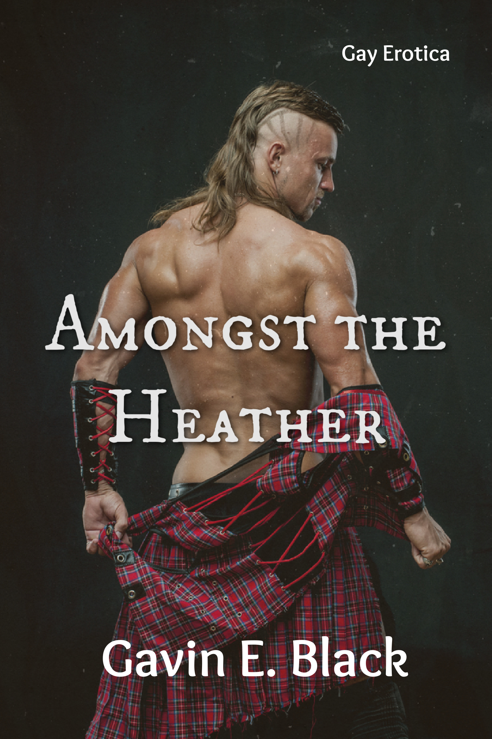 Amongst the Heather (Kindle Edition)