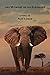 The Memory of an Elephant
