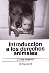 Introducción a los derechos animales - ¿Tu hijo o el perro?