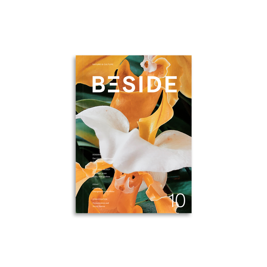 Our Tranformations (Beside Magazine #10)