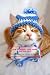 How to Crochet Cute Things for Your Cats by STEADHAM AMBER