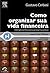 COMO ORGANIZAR SUA VIDA FINANCEIRA INTELIGENCIA FINANCEIRA PESSOAL NA PRATICA