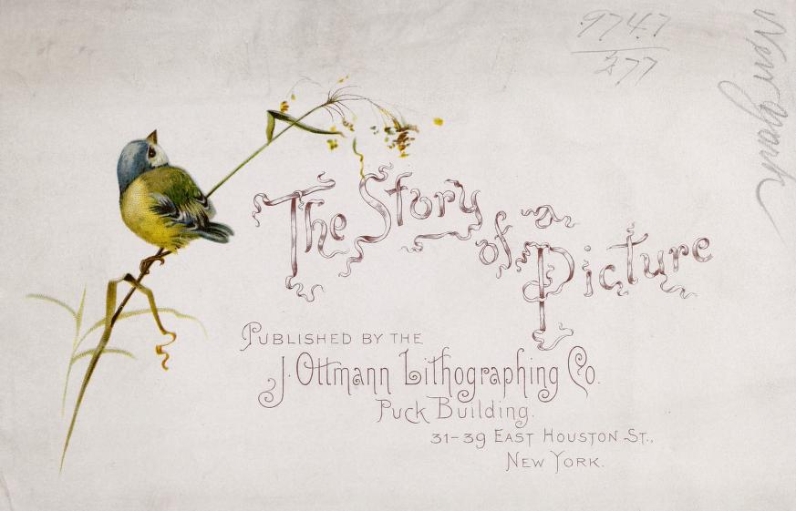 The story of a picture (Unknown Binding)