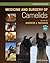 Medicine and Surgery of Camelids