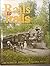 Rails to Trails by Joan Lyons