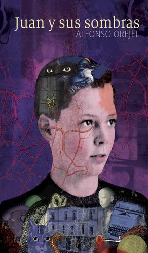 Juan y sus sombras (Paperback)