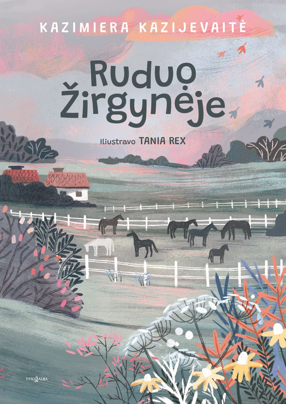 Ruduo Žirgynėje (Hardcover)