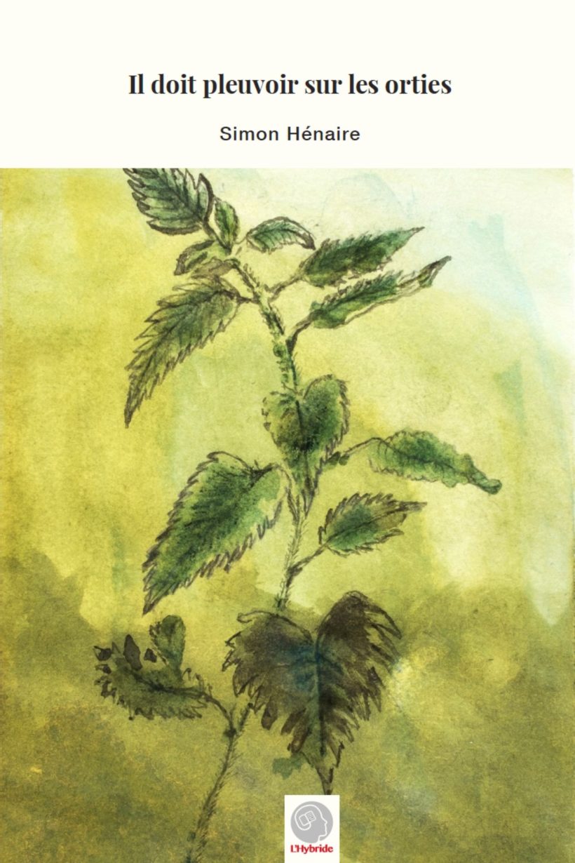Il doit pleuvoir sur les orties (Paperback)
