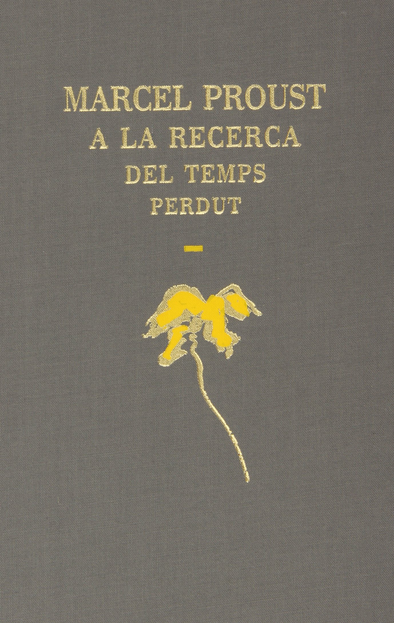 A la recerca del temps perdut