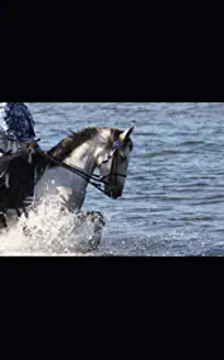 A Horse, a Girl, and a Beach