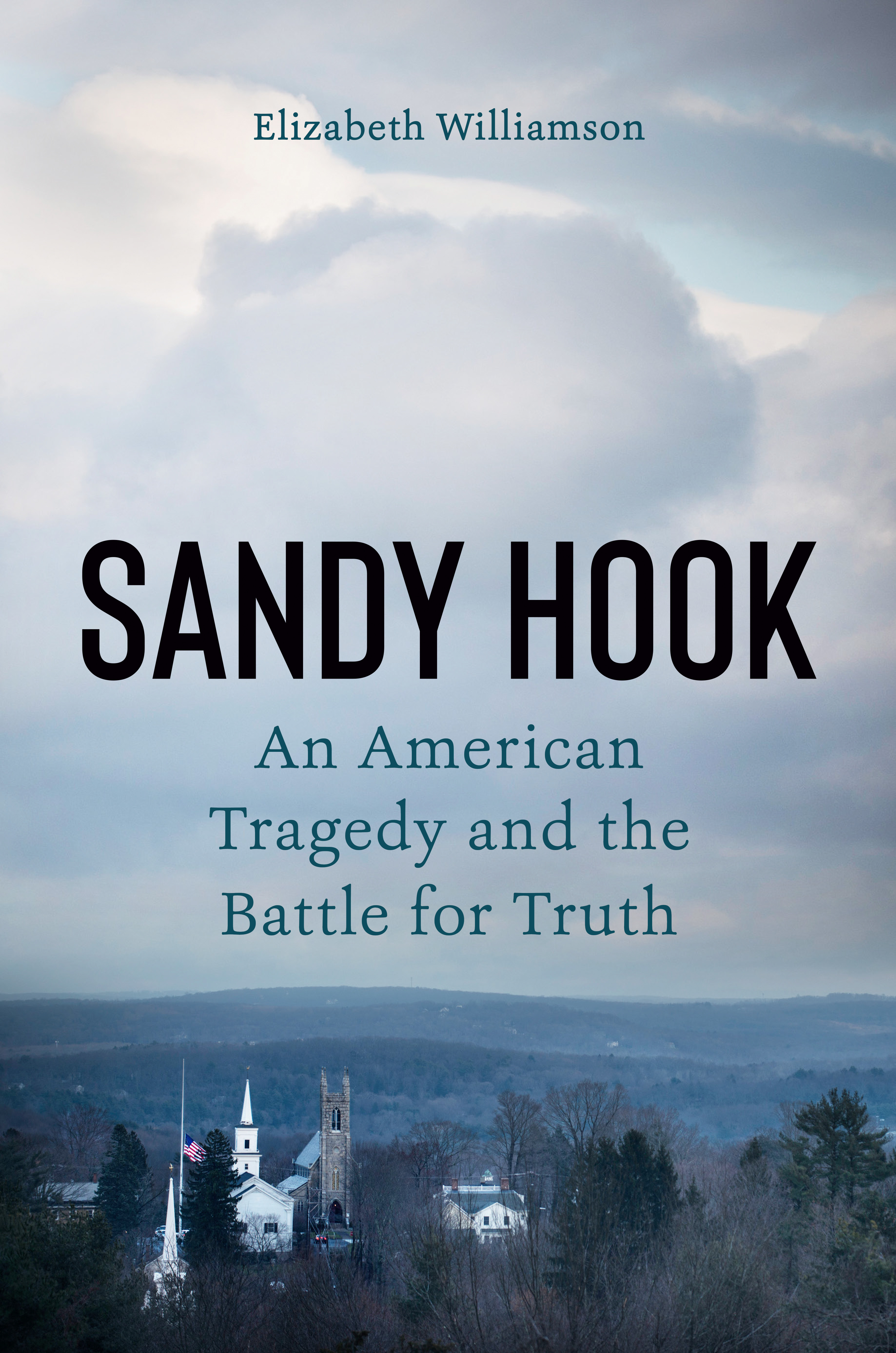Sandy Hook (Hardcover)