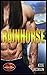 Rainhorse: Brotherhood Prot...