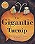 Barefoot Books The Gigantic Turnip by Aleksei Tolstoy