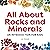 All About Rocks and Mineral...