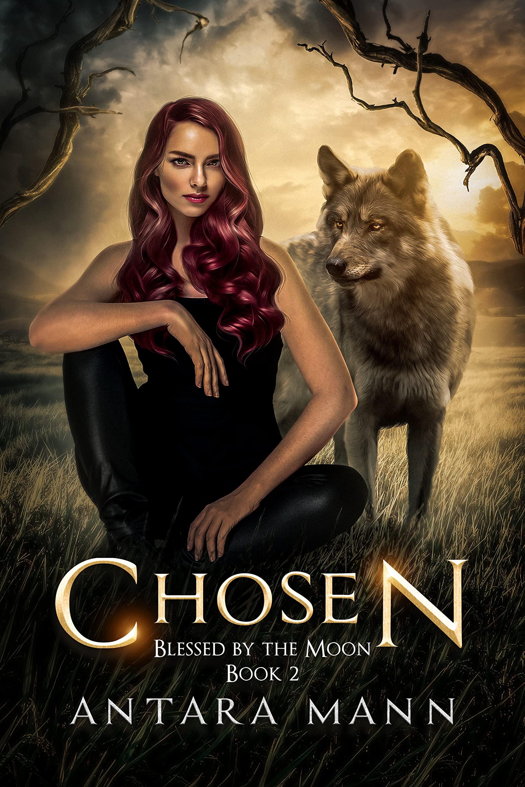 Chosen (Blessed by the Moon, #2)