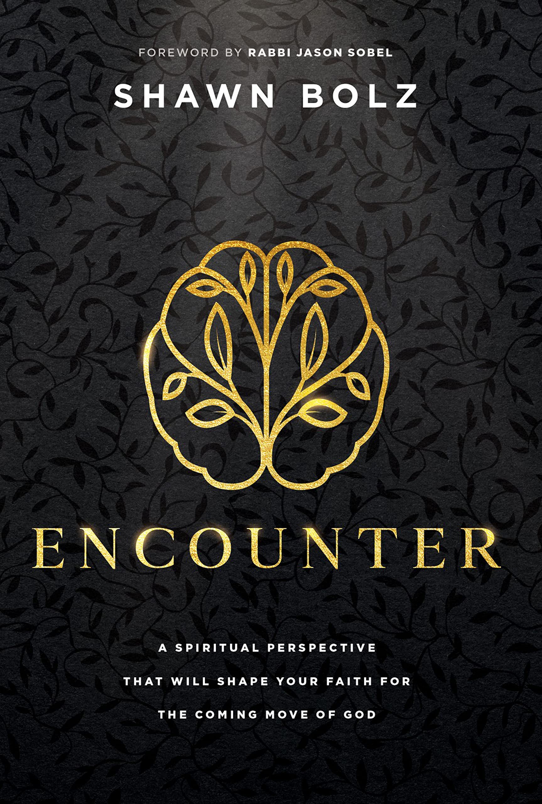 Encounter: A Spiritual Perspective That Will Shape Your Faith for the Coming Move of God (Kindle Edition)