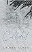 Collided (Dirty Air, #2)