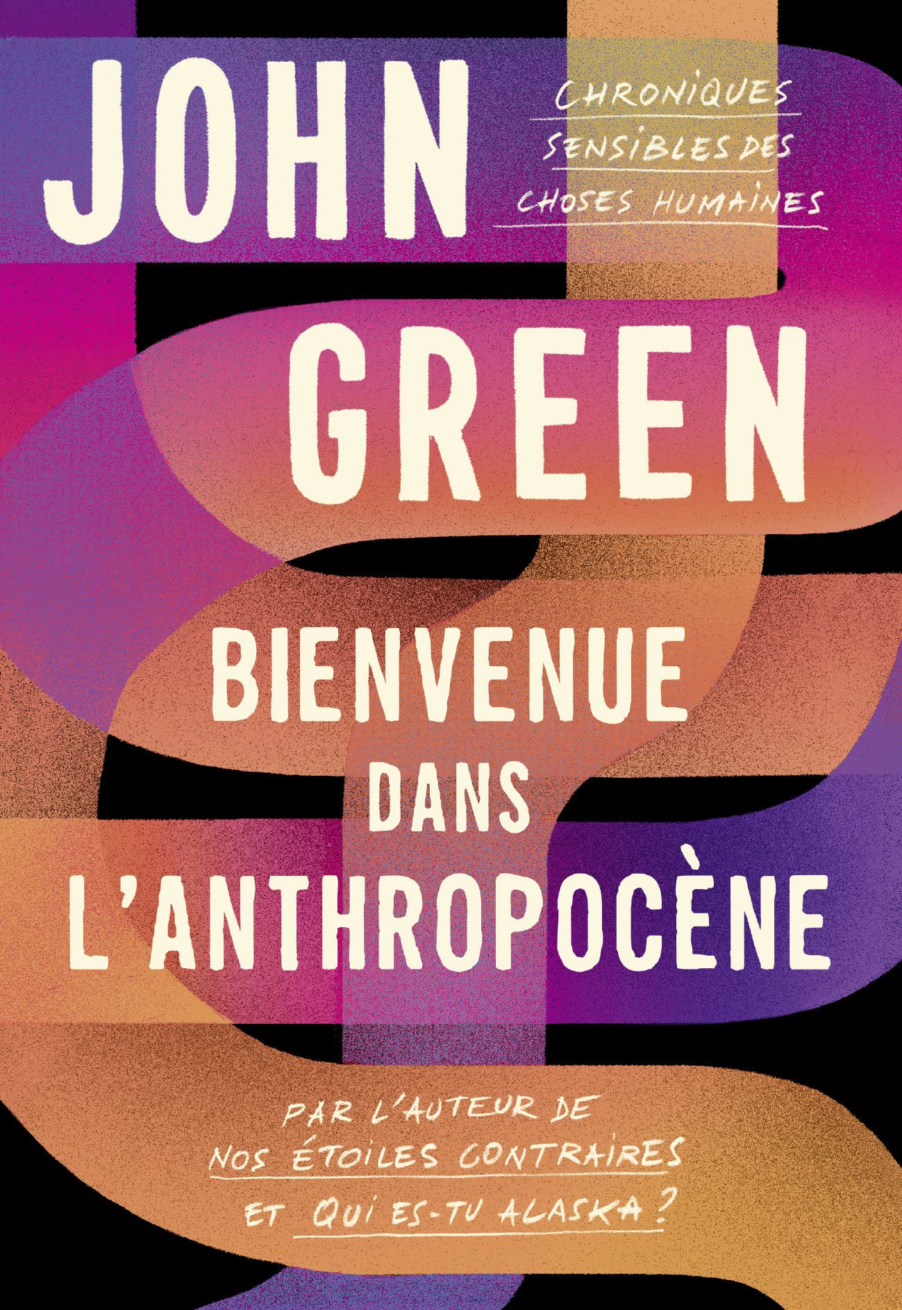 Bienvenue dans l'anthropocène: Chroniques sensibles des choses humaines