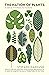 The Nation of Plants