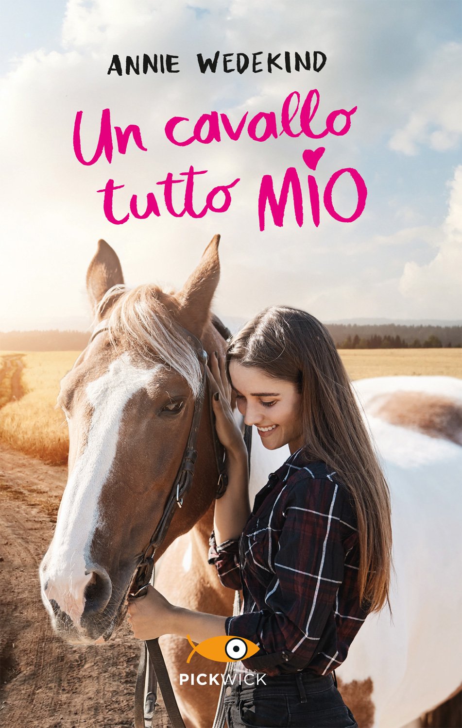 Un cavallo tutto mio (Paperback)