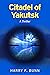 Citadel of Yakutsk by Harry Bunn