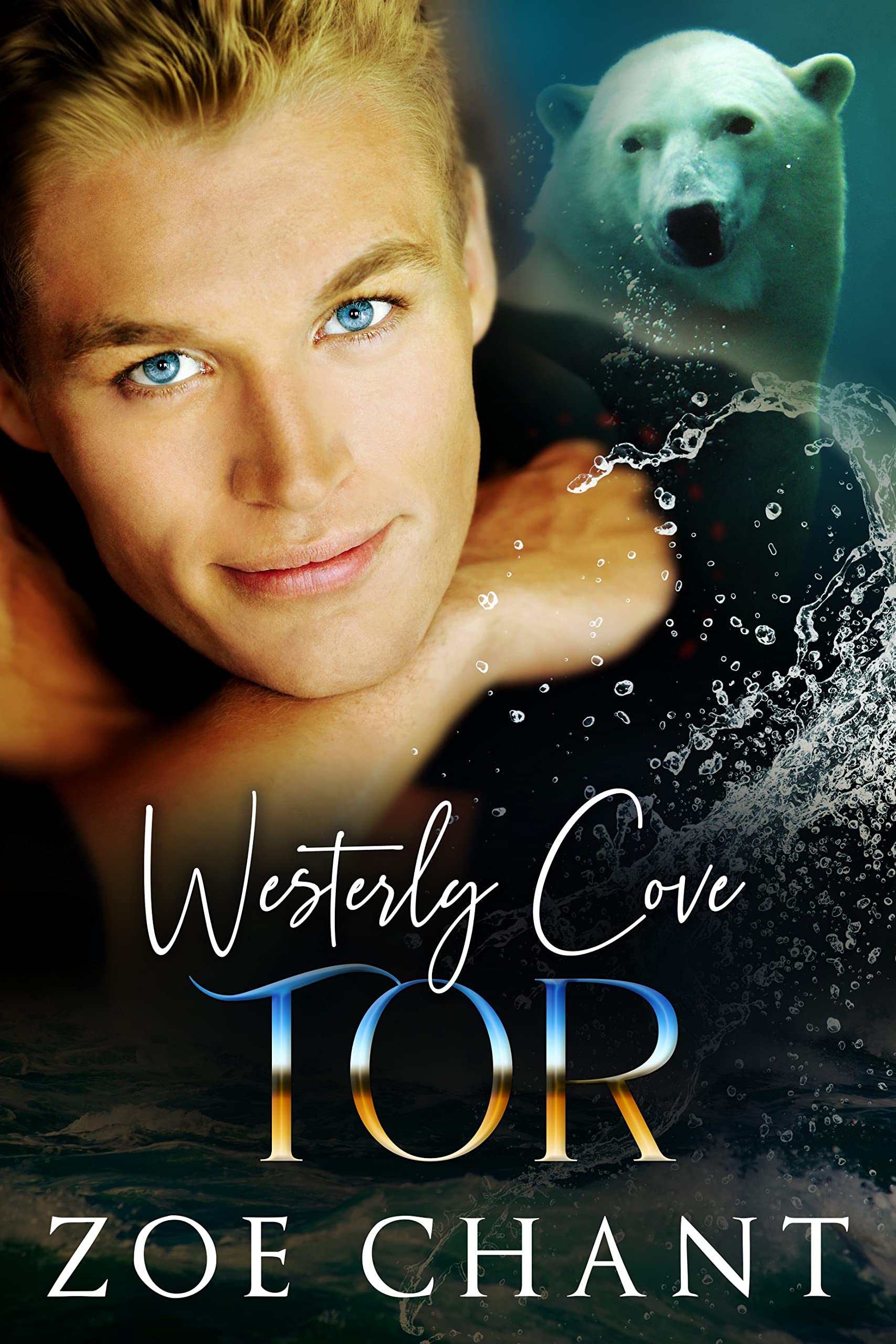 Tor (Westerly Cove, #1)