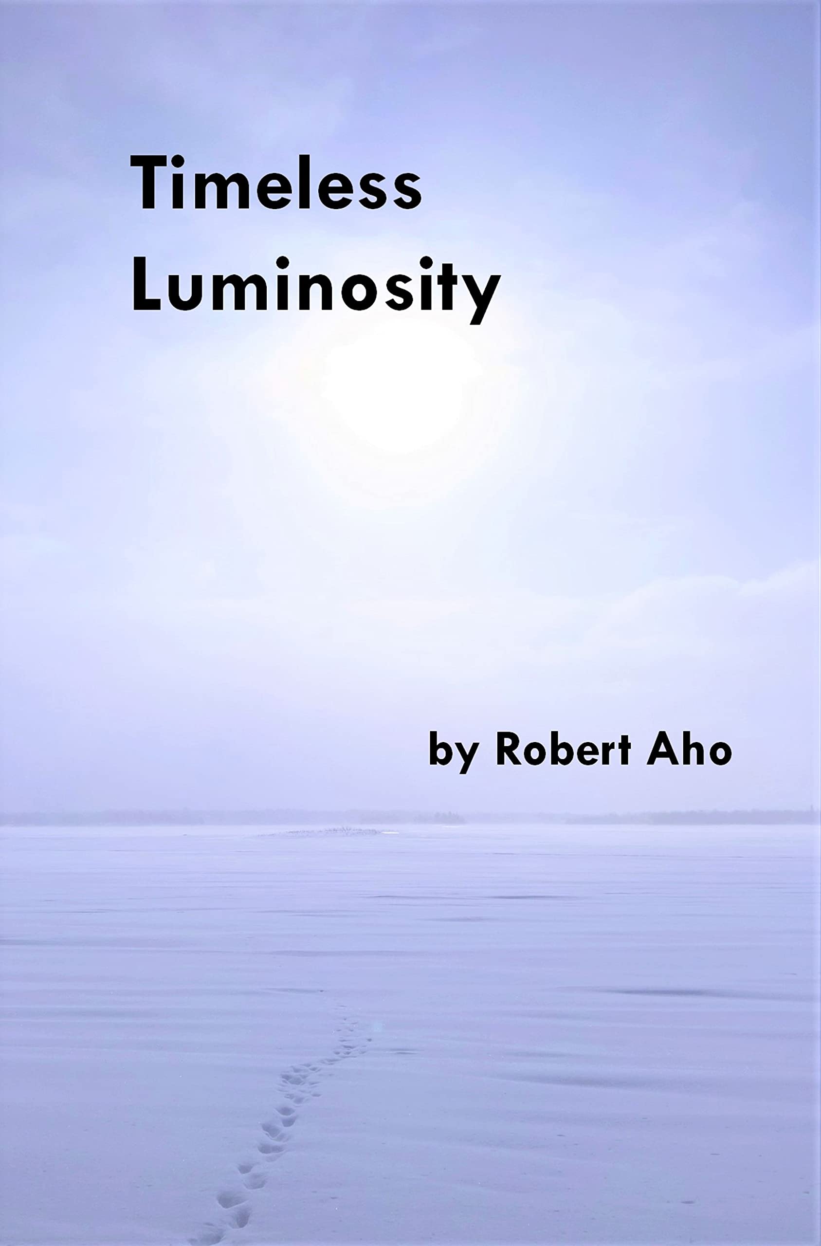 Timeless Luminosity (Kindle Edition)