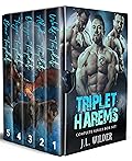 Triplet Harems Complete Series Box Set