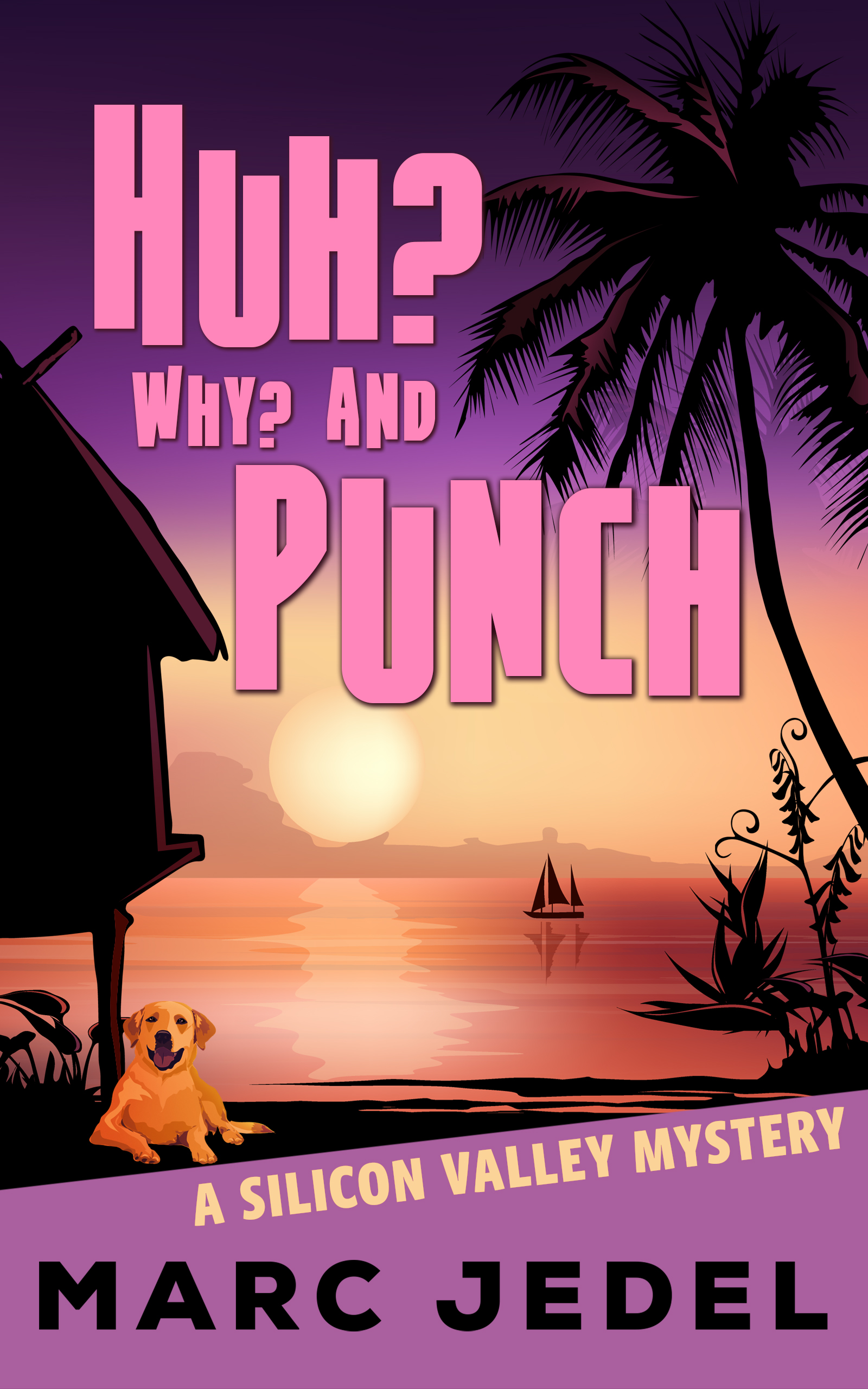 Huh? Why? and Punch (Silicon Valley Mystery #5)