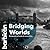 Bridging Worlds: Photograph...