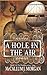 A Hole in the Air by McCallum J Morgan