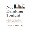 Not Drinking Tonight: A Guide to Creating a Sober Life You Love