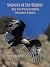 Seasons of the Raptor by Steven Krull