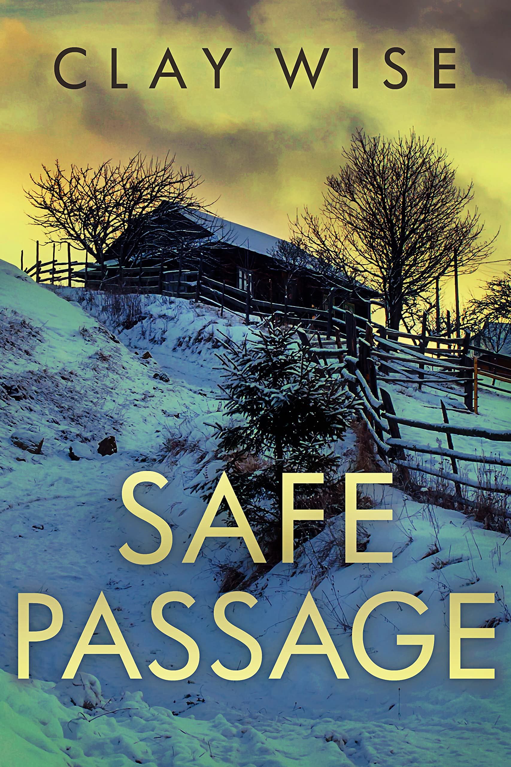 Safe Passage: EMP Survival in a Powerless World (Kindle Edition)