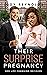 Their Surprise Pregnancy (L...