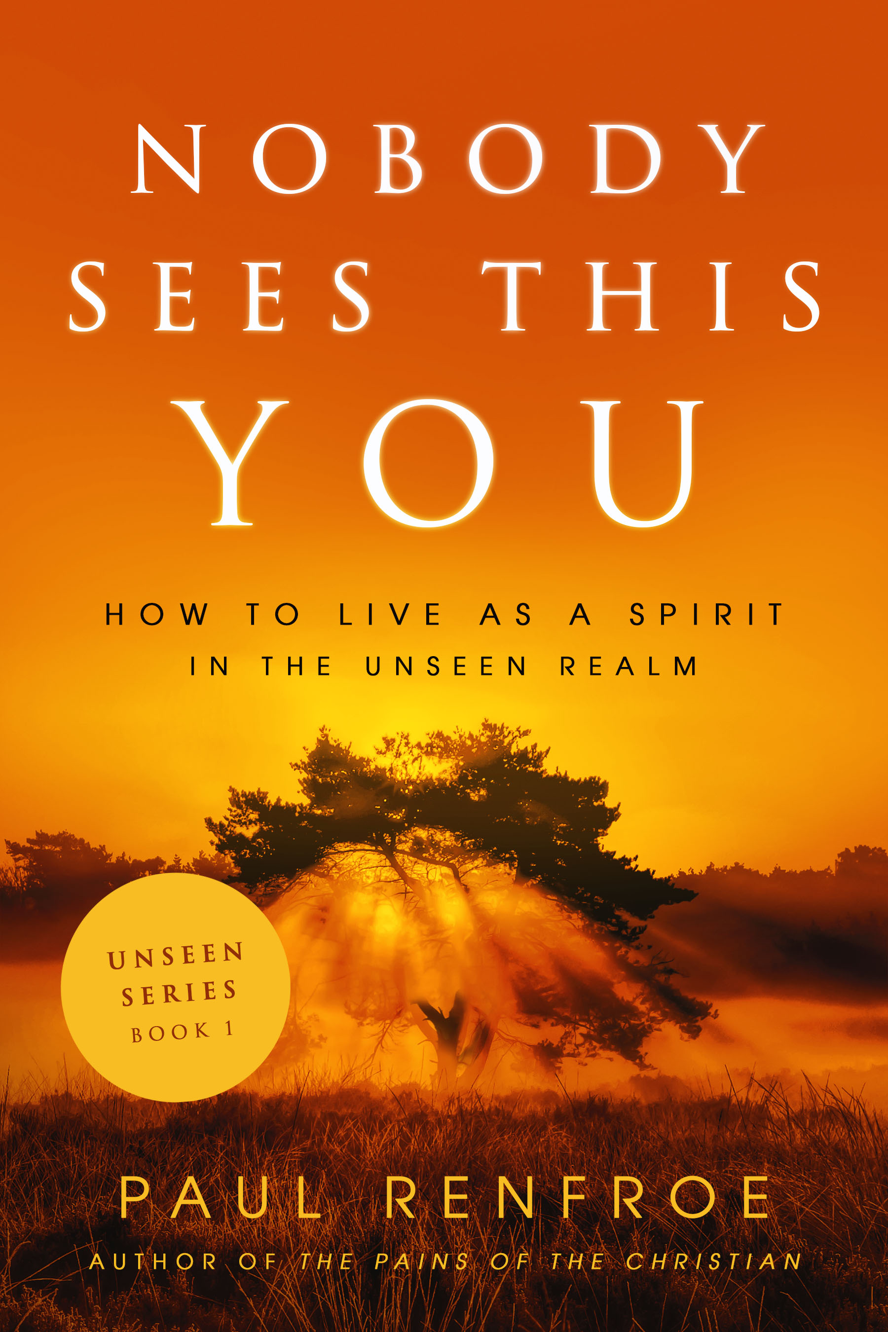 Nobody Sees This You: How to Live as a Spirit in the Unseen Realm (Unseen Series #1)