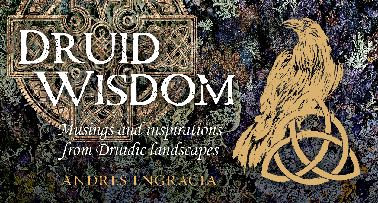 Druid Wisdom: Musings and inspirations from Druidic landscapes