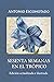 Sesenta semanas en el trópico by Antonio Escohotado