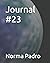Journal #23