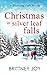 Christmas in Silver Leaf Falls (Silver Leaf Falls #6)