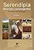 Serendipia. Destinos Conver...