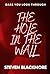 The Hole in the Wall by Steven Blackmore