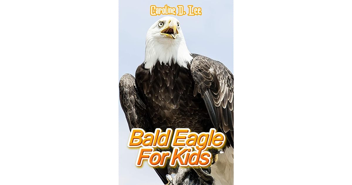 Bald Eagle For Kids Animal fact for girl age 110 Animal fact for boy