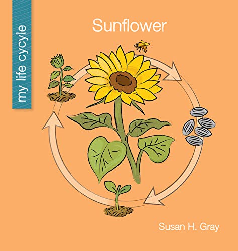 Sunflower (My Early Library: My Life Cycle)