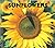 Sunflowers (Naturebooks)