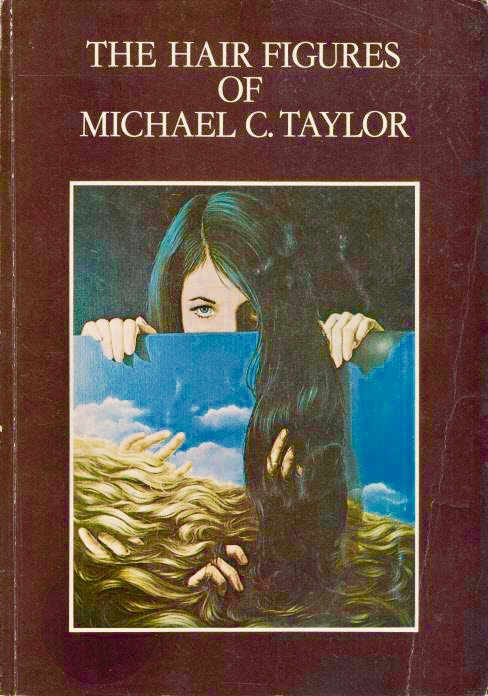 The Hair Figures of Michael C. Taylor (Paperback)