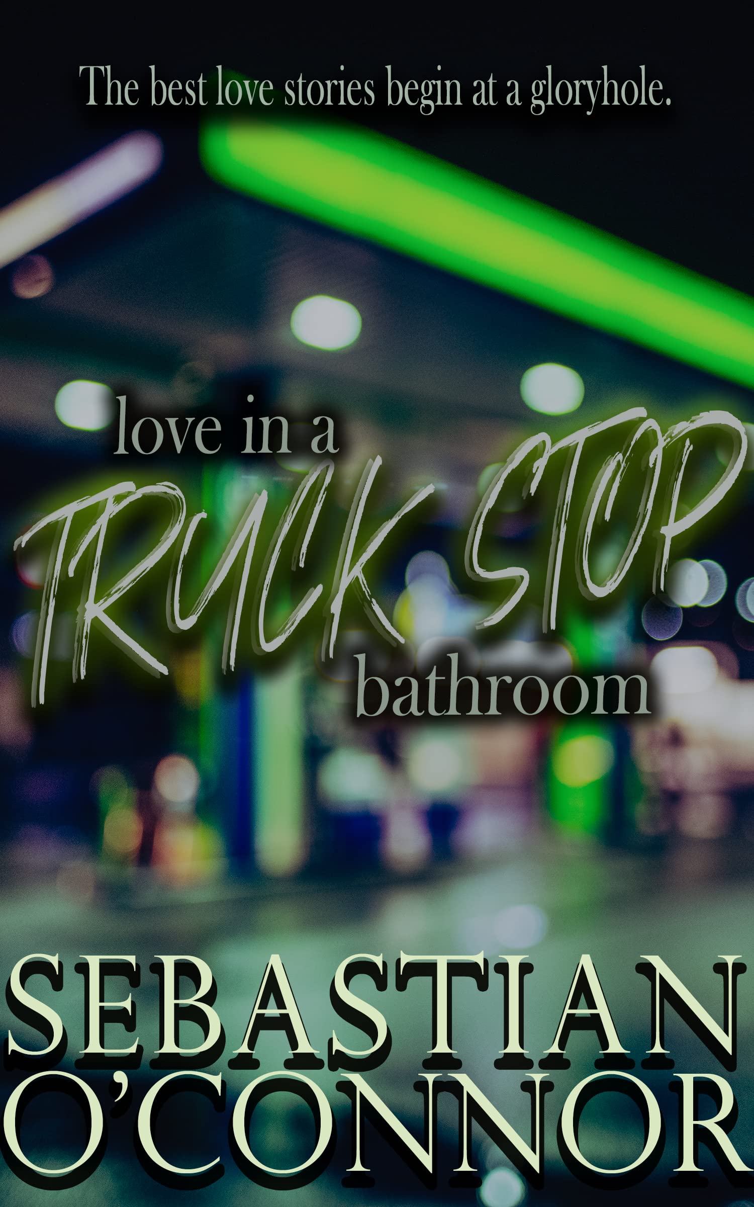 Love in a Truck Stop Bathroom (Kindle Edition)